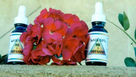 Too diluted.  High quality Oregano Oil must pure to be a fair value